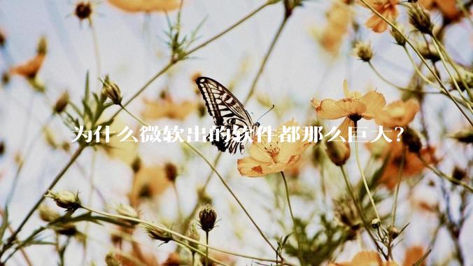 为什么微软出的软件都那么巨大？