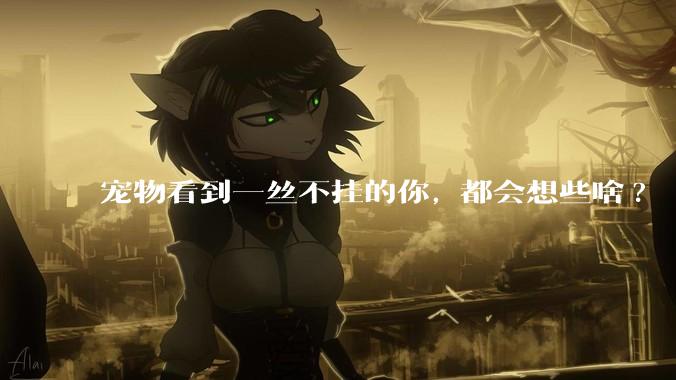 宠物看到一丝不挂的你, 都会想些啥?